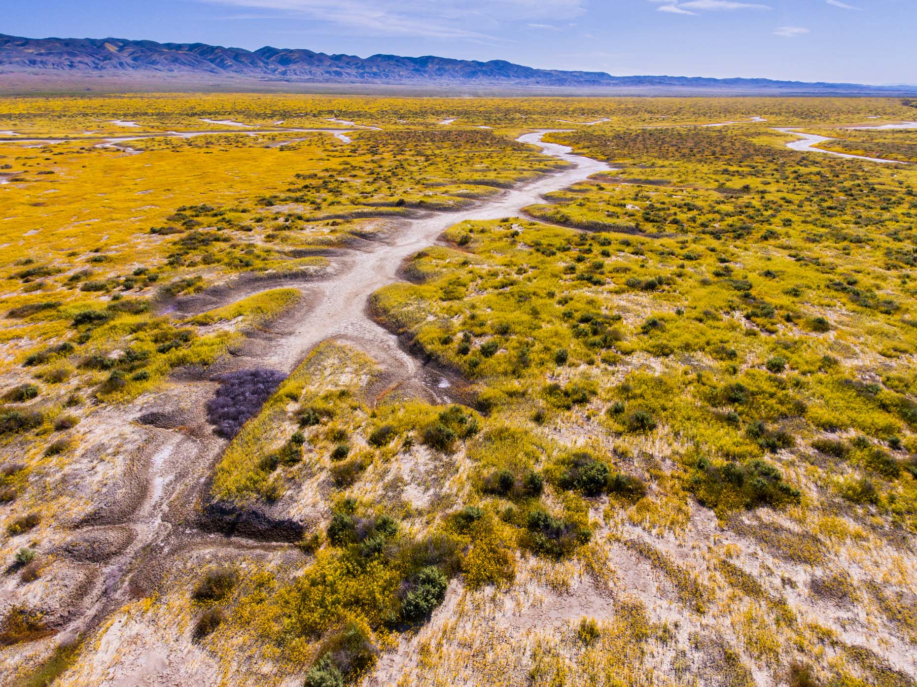 Aerial_Carrizo_Plains