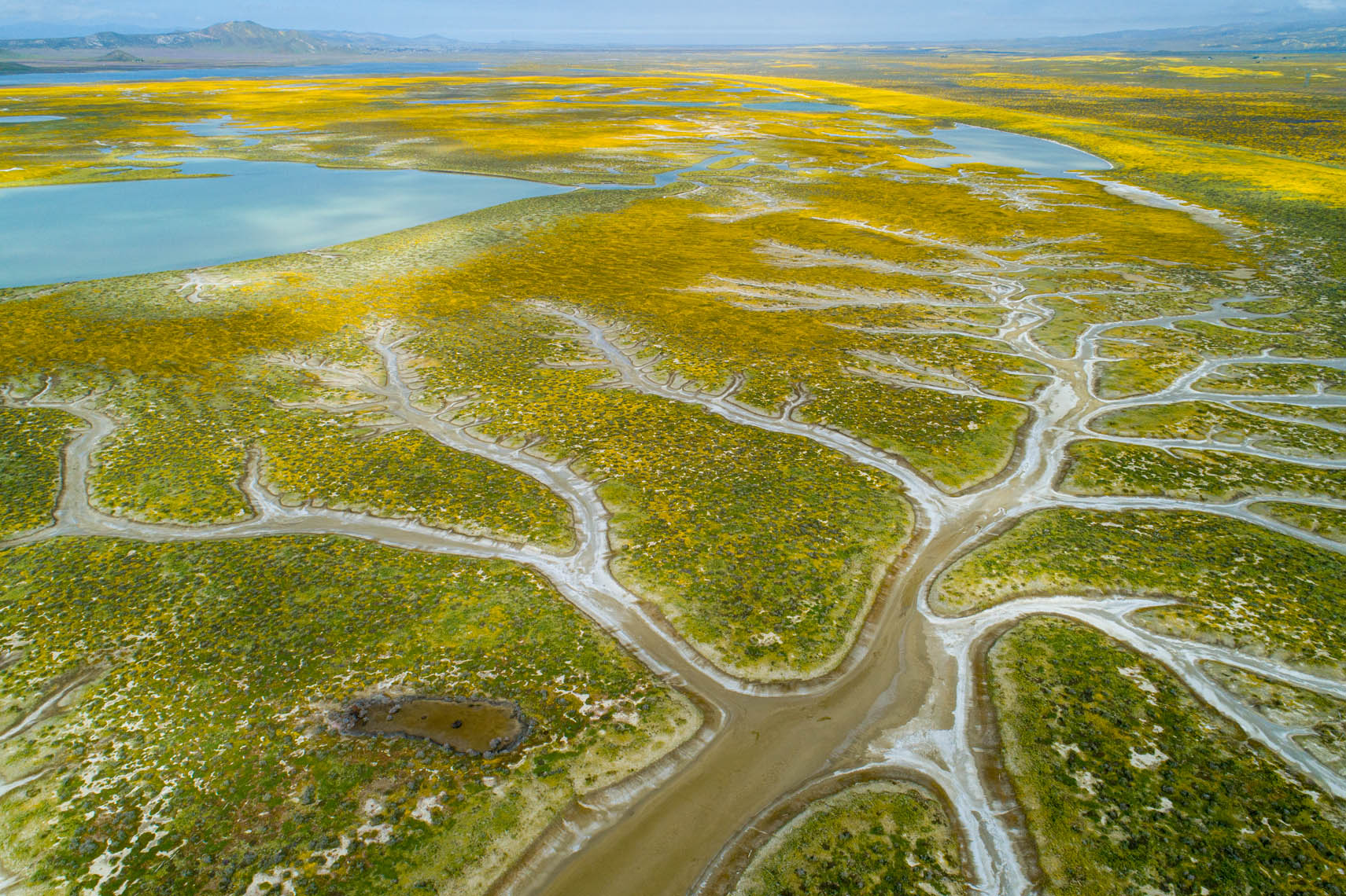 Aerial_Carrizo_Plains_1