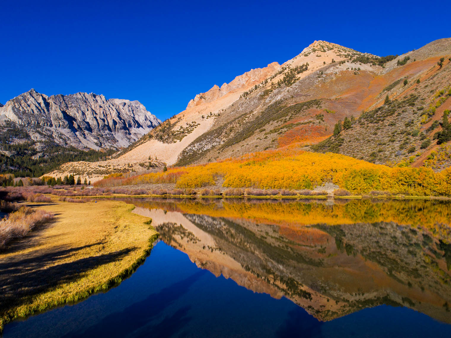 Aerial_NorthLake_Fall
