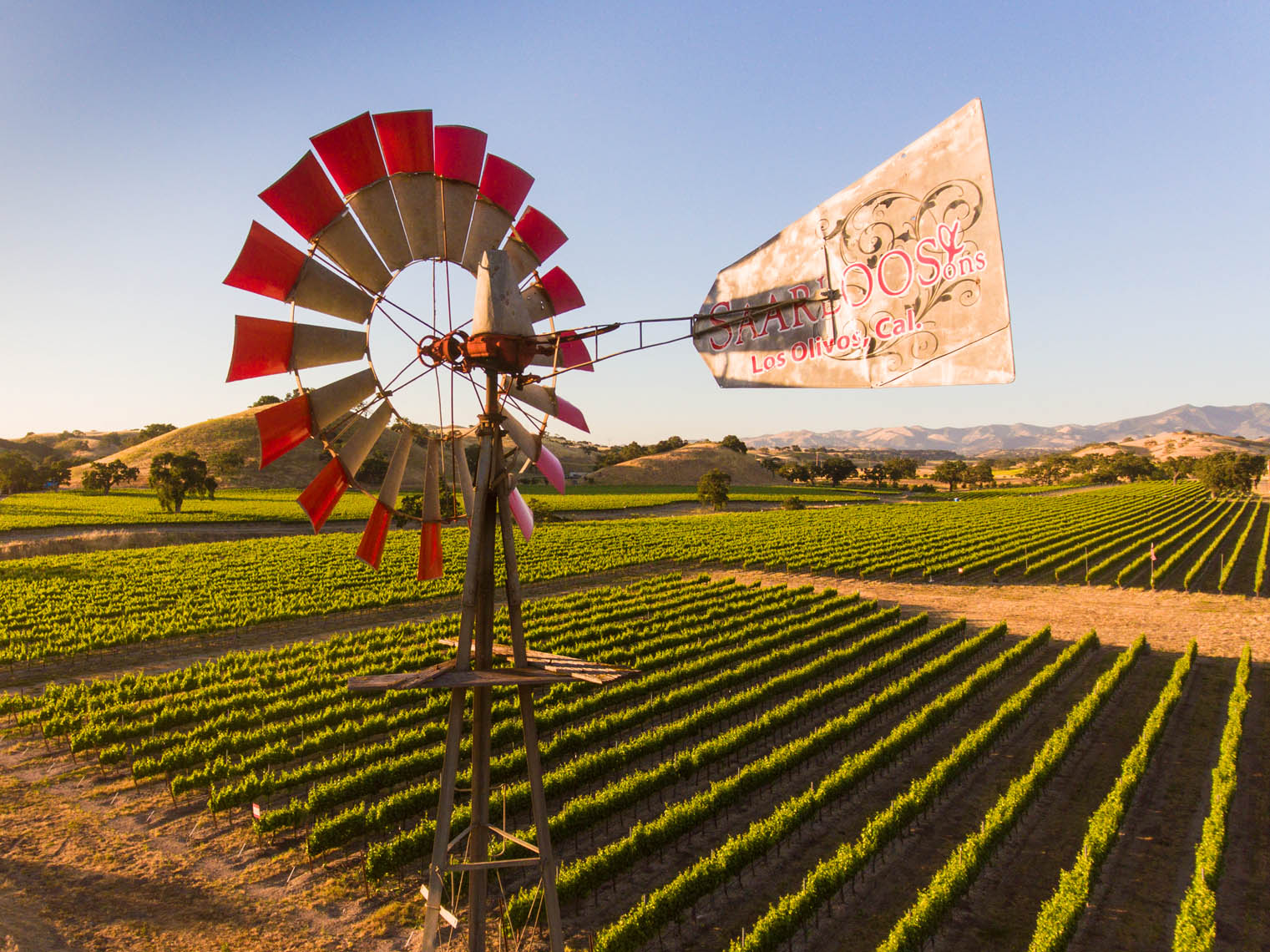 Aerial_Vineyard_Windmill