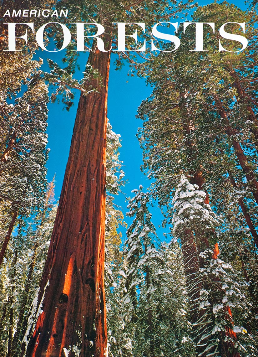 American_Forests_Redwood