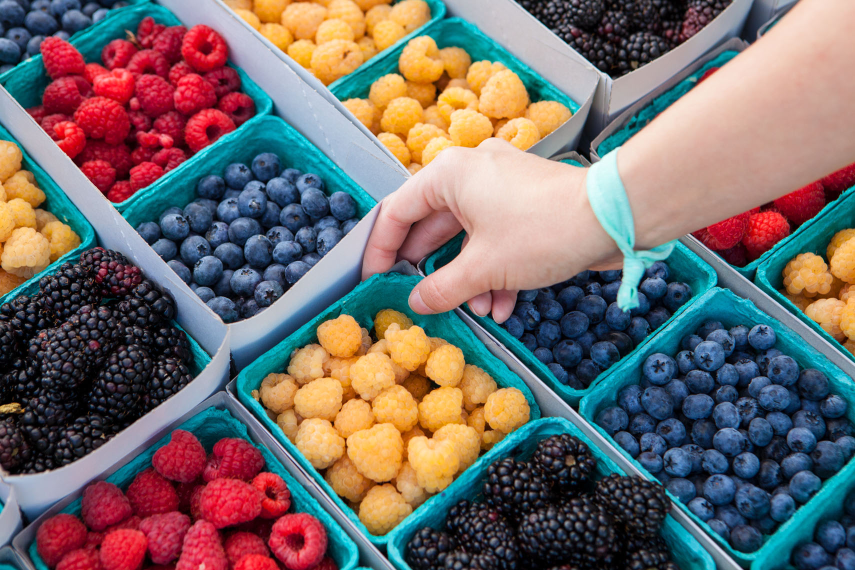 Farmers_Market_Berries