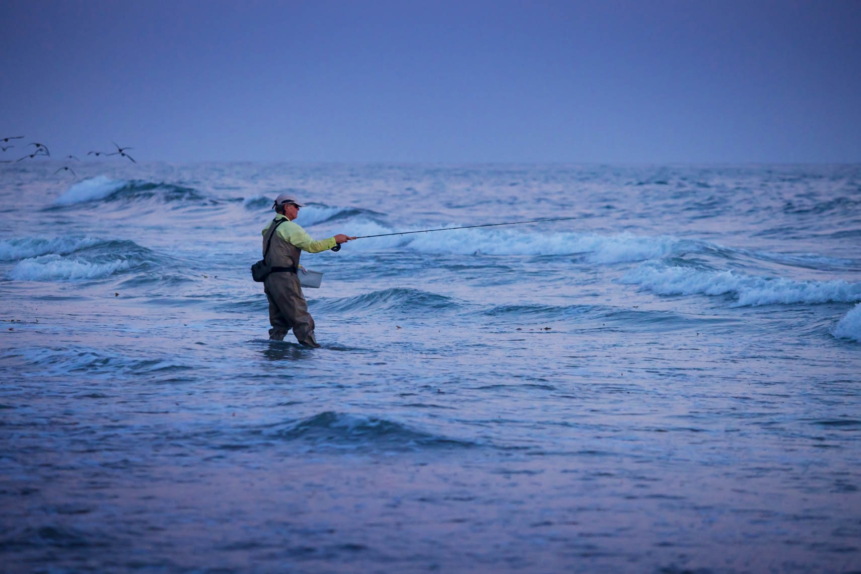 fly fishing for perch in the surf
