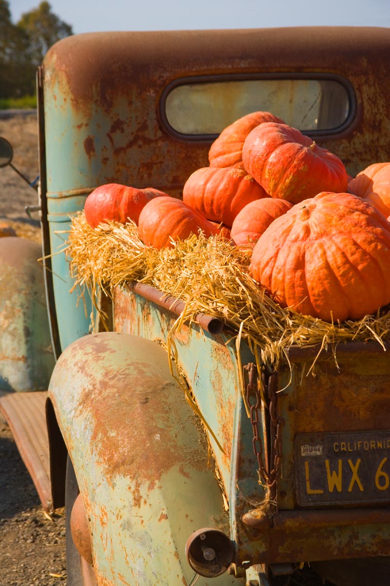 Pumpkins_Truck