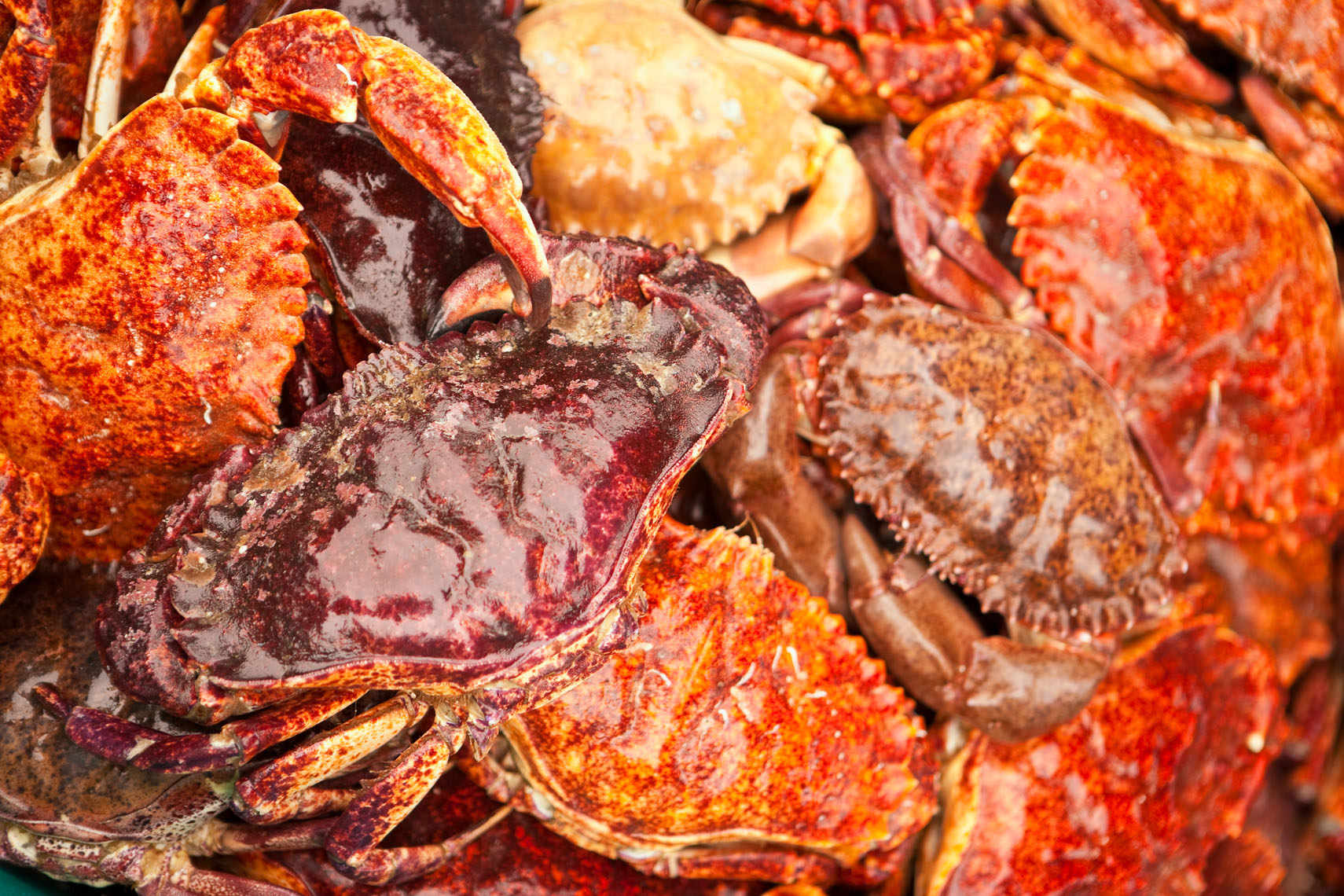 Seafood_Market_Crabs
